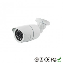 Камера видеонаблюдения (3.6мм) уличная IP, POE, 1920x1080 (2MP, 1080p) OC-IPC102SX2P